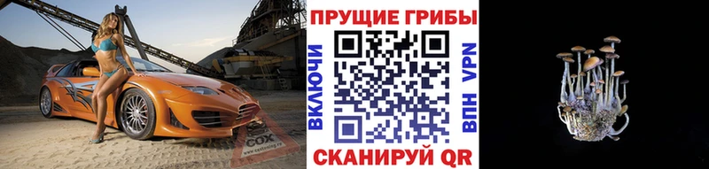 Галлюциногенные грибы GOLDEN TEACHER  ссылка на мегу ТОР  Талица 